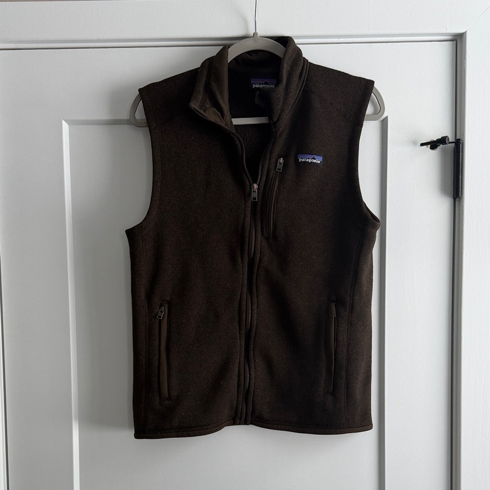 Patagonia Men's Dark Brown Vest